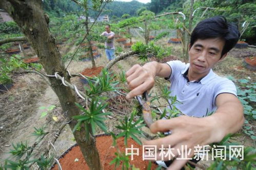 安?；井a品暢銷